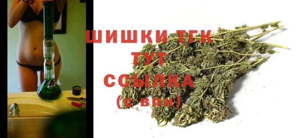прущие грибы Арсеньев