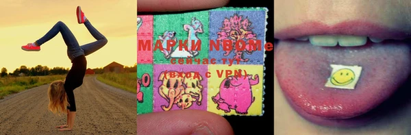 прущие грибы Арсеньев