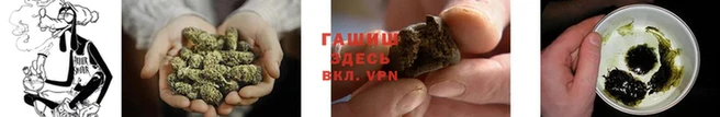 прущие грибы Арсеньев