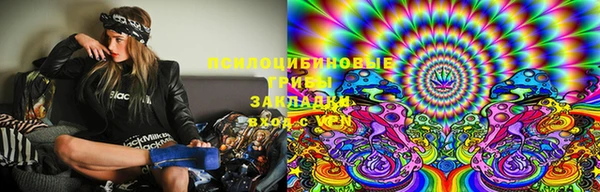 каннабис Аркадак