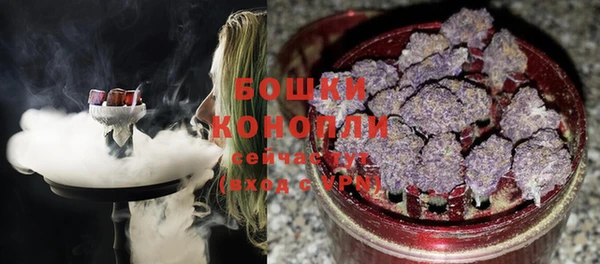 прущие грибы Арсеньев