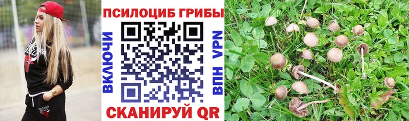 Псилоцибиновые грибы Psilocybine cubensis  KRAKEN tor  Среднеколымск 
